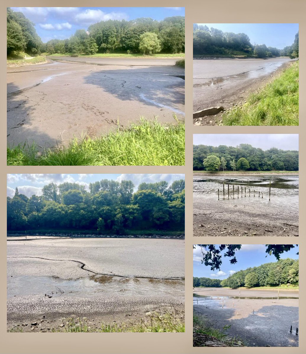 Depuis ce WE, drôle d’impression en parcourant les rives de Penfeld à Brest, lieu privilégié pour les promenades, le footing, les piques-niques, … Le bassin d’eau est quasiment à sec et c’est assez surprenant. Une chose est sûre, ce n’est pas dû à la canicule 😉