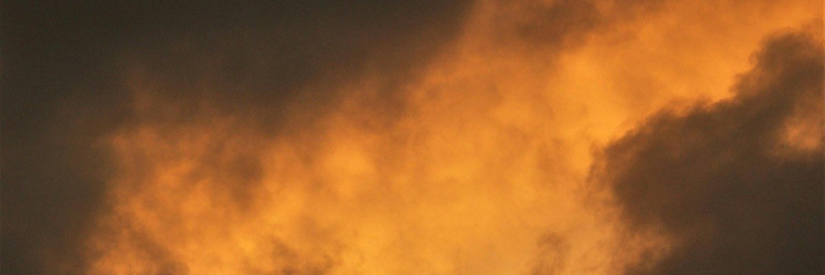 La #vita continua a vivere, anche dove non ce lo immaginiamo e dove non vorremmo che vivesse. È un pensiero terribile, ma in fondo anche confortante.

Felice Cimatti su “Una creatura chiamata Terra. Come la vita ha trasformato il pianeta” di Ferris Jabr | fatamorganaweb.it/ferris-jabr-un…