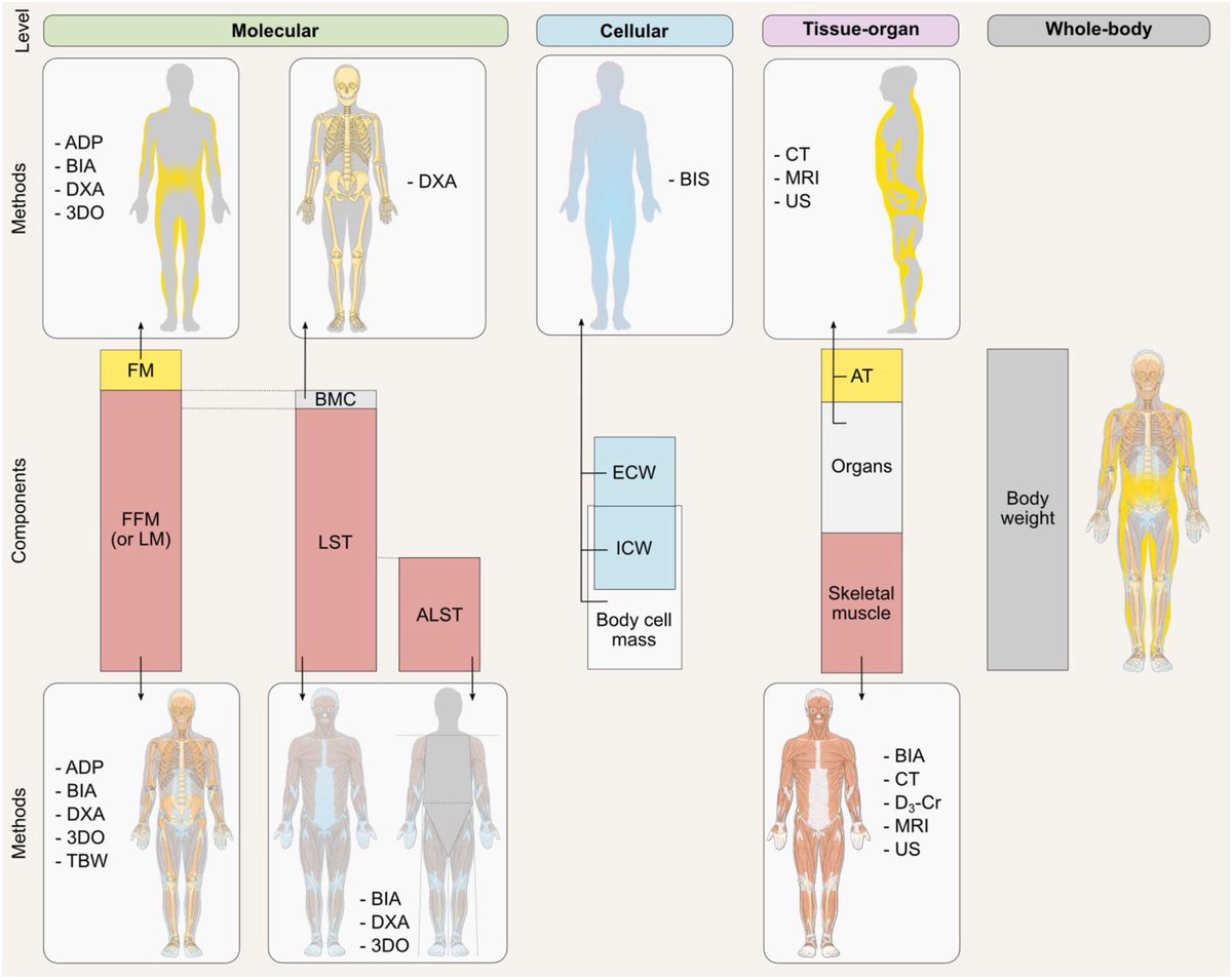 Carla Prado, PhD, RD, FCAHS (@drcarlaprado) on Twitter photo “Methodological standards for body composition: an expert-endorsed guide for research and clinical applications: levels, models, and terminology". <a href="/AJCNutrition/">American Journal of Clinical Nutrition</a>
sciencedirect.com/science/articl…
Despite the widespread use of body composition in research and clinical practice, confusion “Methodological standards for body composition: an expert-endorsed guide for research and clinical applications: levels, models, and terminology". <a href="/AJCNutrition/">American Journal of Clinical Nutrition</a>
sciencedirect.com/science/articl…
Despite the widespread use of body composition in research and clinical practice, confusion
