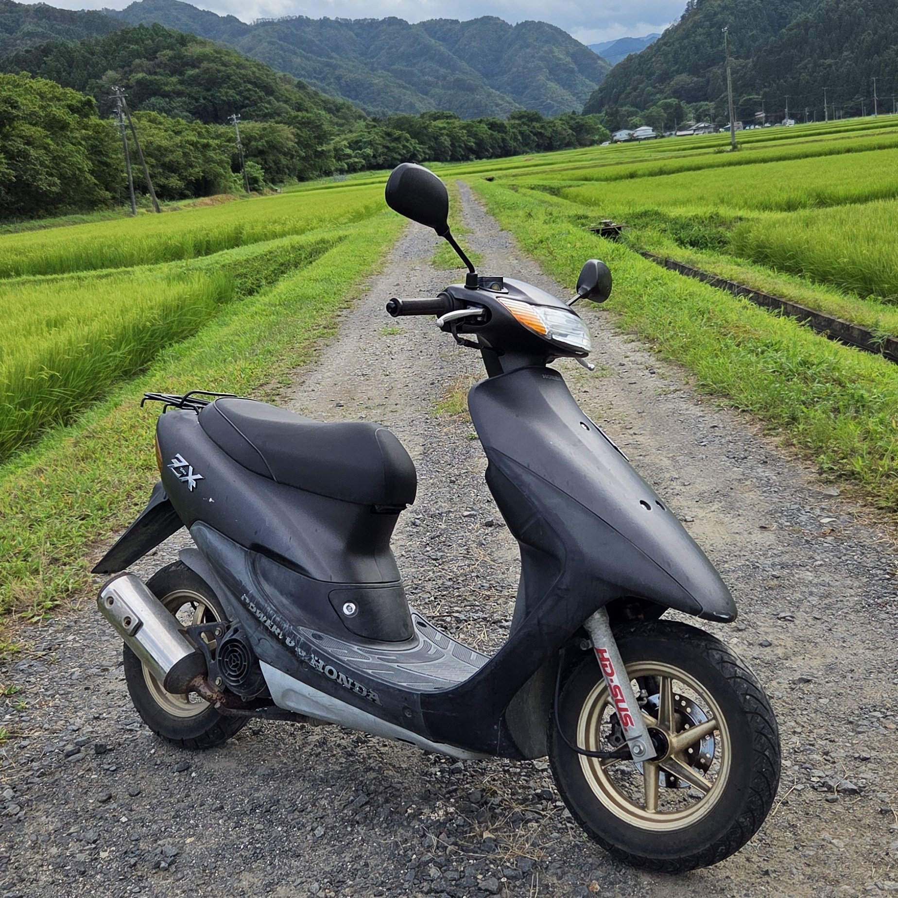 けけけページ 81JMGHsJpdL._UF350,350_QL50_.jpg