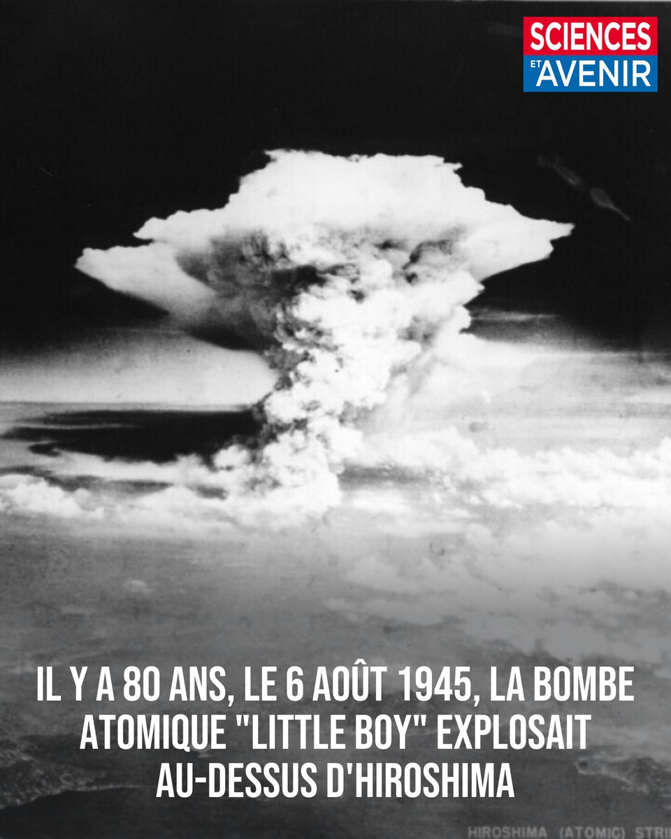 Le 6 août 1945 à 8h16, un champignon atomique s'élève dans le ciel d'Hiroshima. 

La première bombe nucléaire vient d'exploser et d'emporter la vie de quelque 70.000 personnes en quelques secondes ⬇
