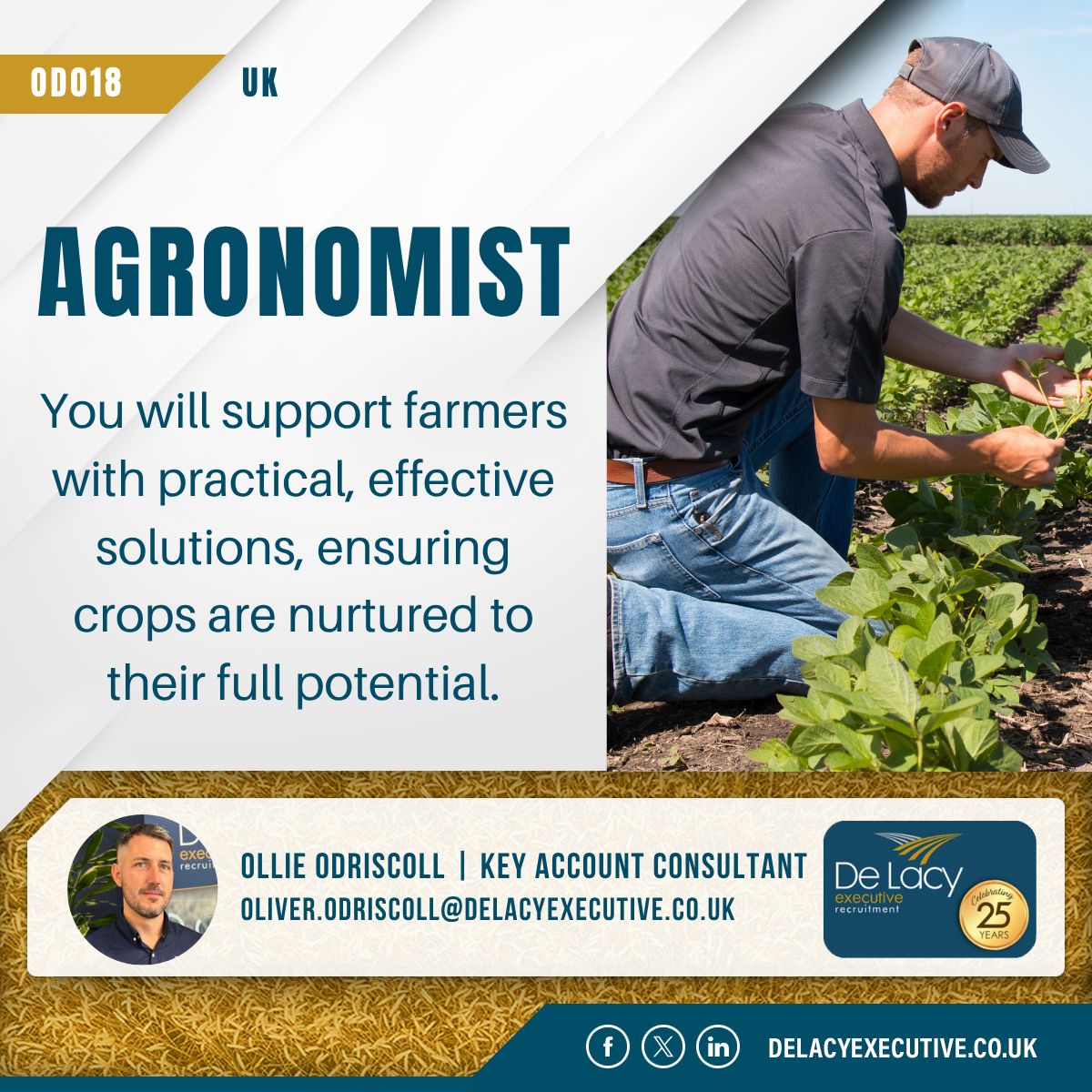We’re seeking an experienced Agronomist who thrives in a supportive, non-corporate environment with a passion for agriculture!

This role has emerged due to exciting commercial growth and is part of a strategic succession plan.

Apply here: delacyexecutive.co.uk/jobs/od018-agr…

#Agronomy