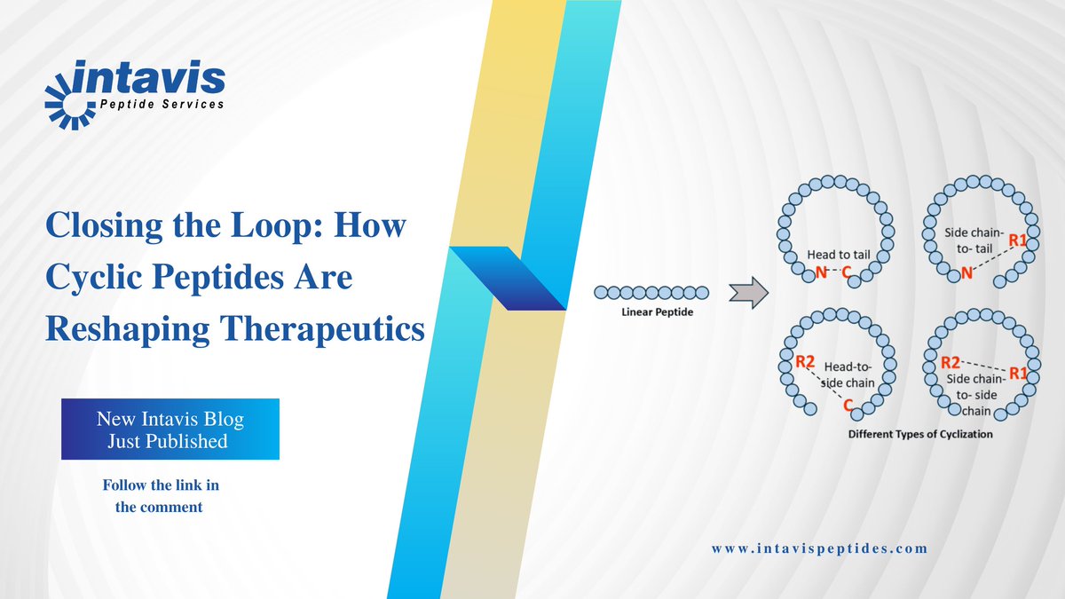 intavispeptides's tweet photo. Cyclic peptides are unlocking “undruggable” targets—read more on our website!
Closing the Loop: How Cyclic Peptides Are Reshaping Therapeutics – Intavis Peptide Services https://t.co/hY4mtOded6