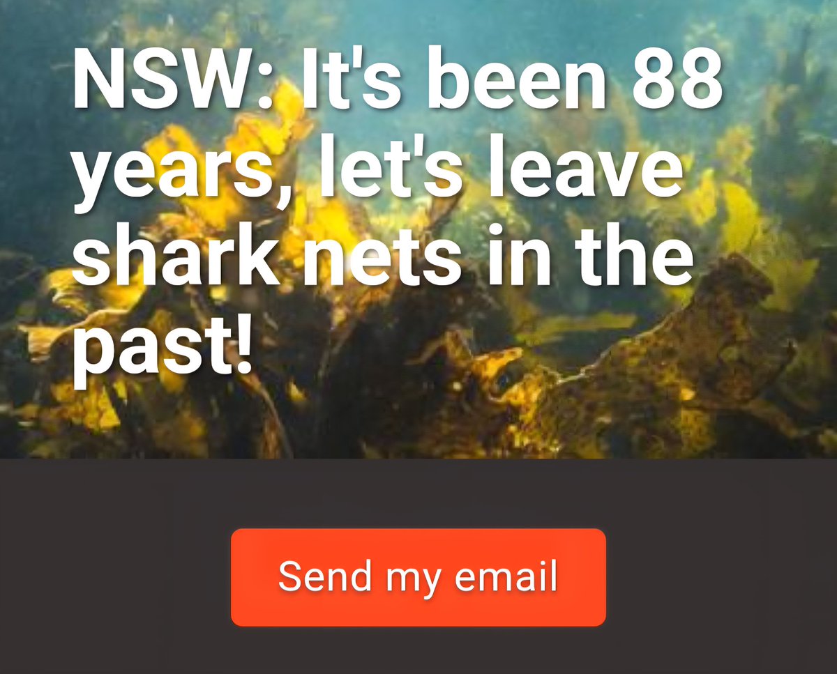 Make sure to send through your email to the NSW coastal councils before the August 22nd deadline!

envoy.good.do/netsoutnow-nsw…