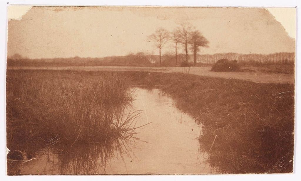 De oudste vermelding van herdgang Loven dateert uit 1419. De naam is afkomstig van Lo-hoven, een hoeve in het bos (‘lo’). De herdgang Loven was zeer uitgestrekt en grensde aan Enschot en herdgangen De Heikant, Kerk en Heuvel, De Veldhoven en Oerle. bit.ly/Wikiwoensdag-2…