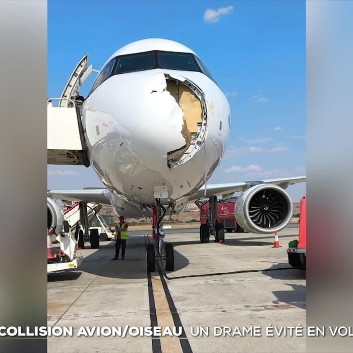 VictorSinclair3's tweet photo. Coucou les débiles.
Hier, un avion Iberia est entré en collision avec un oiseau.
Ca donne ça.
Un pauvre petit oiseau.
Mais on vous a fait croire qu'un avion, ca rentre comme dans du beurre dans une tour entouré d'une structure d'acier hyper résistante, sans se fracasser dessus... https://t.co/luZHB63IMS