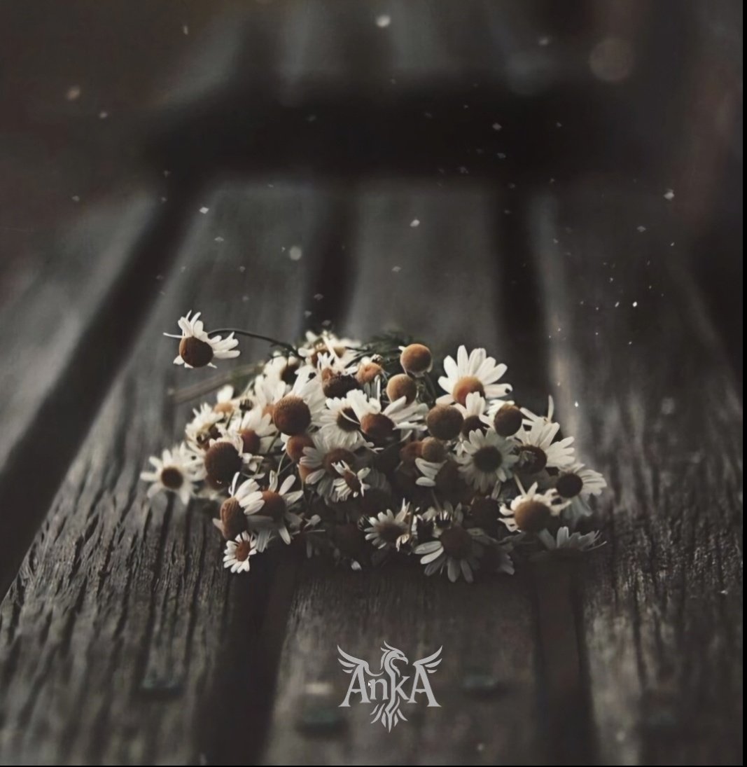 Çiçeklerim solarsa tazelerim.
Üzülürsem ;
Kendime yeniden öğretirim gülümsemeyi.
İyileşir içimdeki yaralarım..