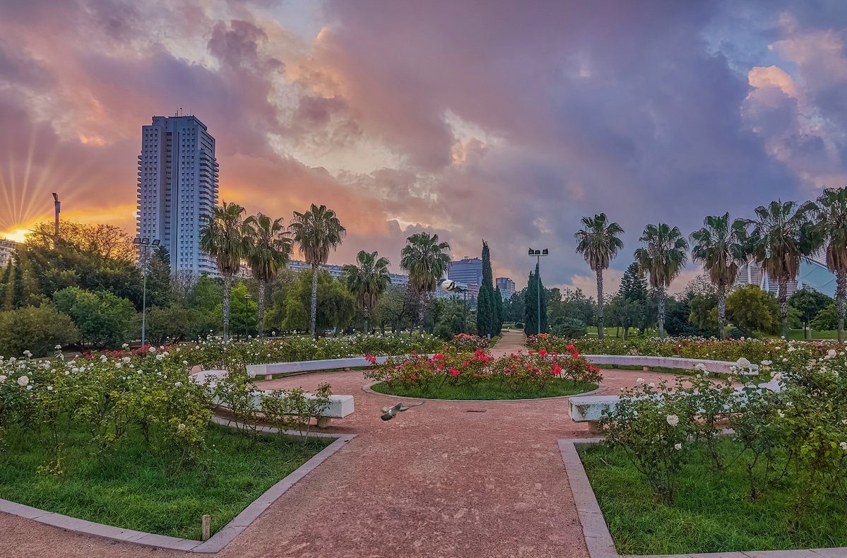 Álex Muñoz 📷 ☀🦇 💯 🧡 (@alexmuozgarc) on Twitter photo #BonDia ⛅️
#BuenosDías #fantástico #amanecer en los #jardines del #antiguo #cauce del #RíoTuria #Valencia
<a href="/MNievesSanchez1/">MNieves Sanchez 🌼⛅🌞🌛🌈📸</a> <a href="/rasalvi49/">Ramon Salvi</a> <a href="/xusvalencia/">Jesús🦇Martínez📸</a> <a href="/minervagra/">Minerva GG</a> <a href="/Pauquechu/">Quechu</a> <a href="/anamaria190977/">Ana María Herrero</a> <a href="/willgualas/">🇪🇸GUI🇪🇸</a> <a href="/sibilafc/">Silvia Ferrer</a> <a href="/meteocastuera/">Álvaro Hurtado ™ ⛈️ 🌬☔️⚡️📸📹</a> <a href="/RAM_meteo/">RAM: Revista del Aficionado a la Meteorología</a> <a href="/ame_asociacion/">AME Asociación</a> <a href="/MeteoSE/">AMETSE</a> <a href="/ecazatormentas/">Cazatormentas</a> #BonDia ⛅️
#BuenosDías #fantástico #amanecer en los #jardines del #antiguo #cauce del #RíoTuria #Valencia
<a href="/MNievesSanchez1/">MNieves Sanchez 🌼⛅🌞🌛🌈📸</a> <a href="/rasalvi49/">Ramon Salvi</a> <a href="/xusvalencia/">Jesús🦇Martínez📸</a> <a href="/minervagra/">Minerva GG</a> <a href="/Pauquechu/">Quechu</a> <a href="/anamaria190977/">Ana María Herrero</a> <a href="/willgualas/">🇪🇸GUI🇪🇸</a> <a href="/sibilafc/">Silvia Ferrer</a> <a href="/meteocastuera/">Álvaro Hurtado ™ ⛈️ 🌬☔️⚡️📸📹</a> <a href="/RAM_meteo/">RAM: Revista del Aficionado a la Meteorología</a> <a href="/ame_asociacion/">AME Asociación</a> <a href="/MeteoSE/">AMETSE</a> <a href="/ecazatormentas/">Cazatormentas</a>