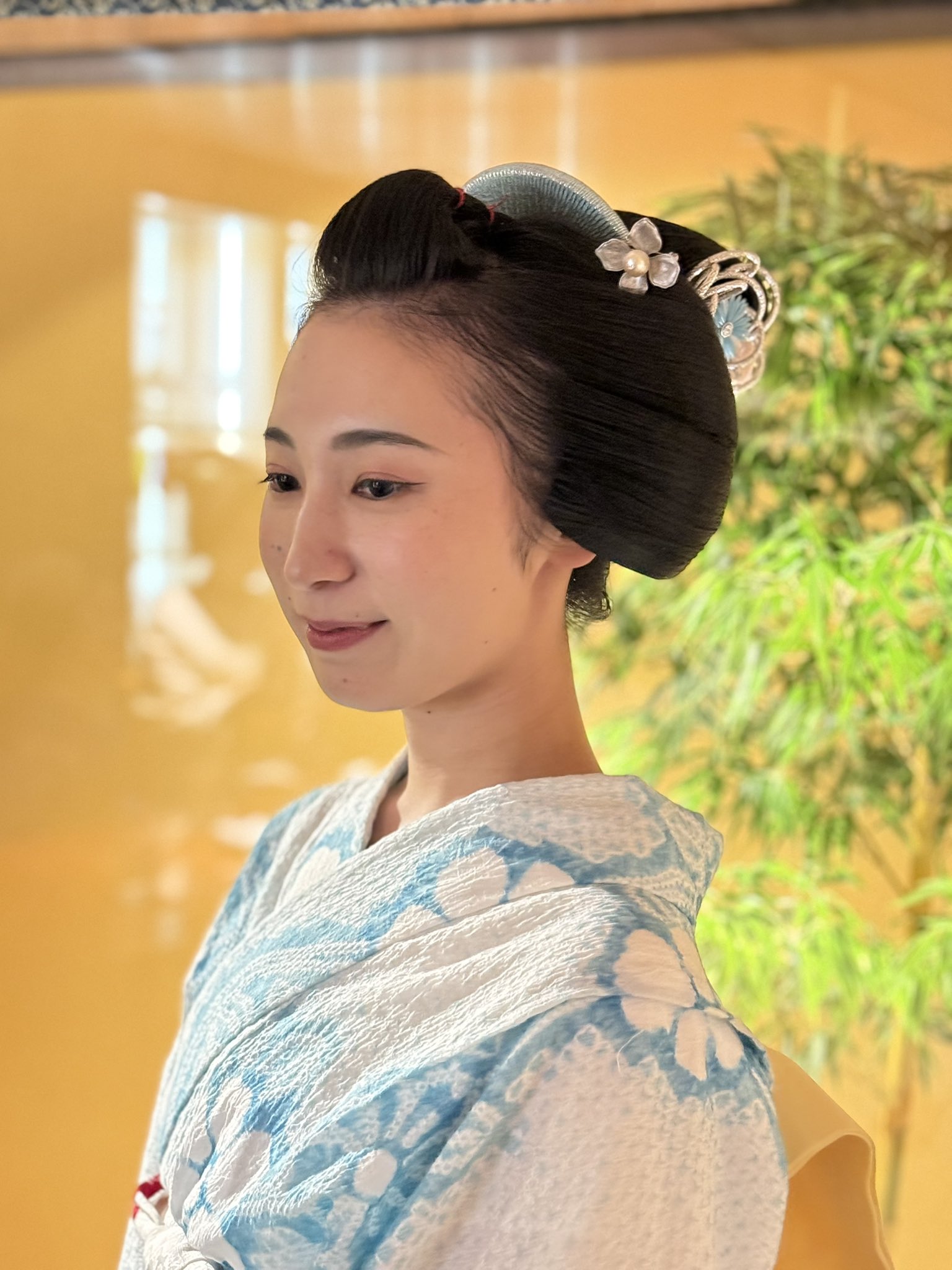 週末限定値下げ　舞妓　日本髪　髷　かもじ　赭熊　しゃぐま 豆ひろ on X: 