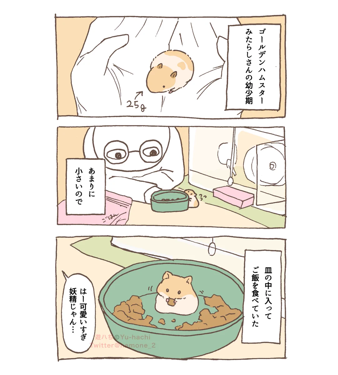 遊ハち on X: 