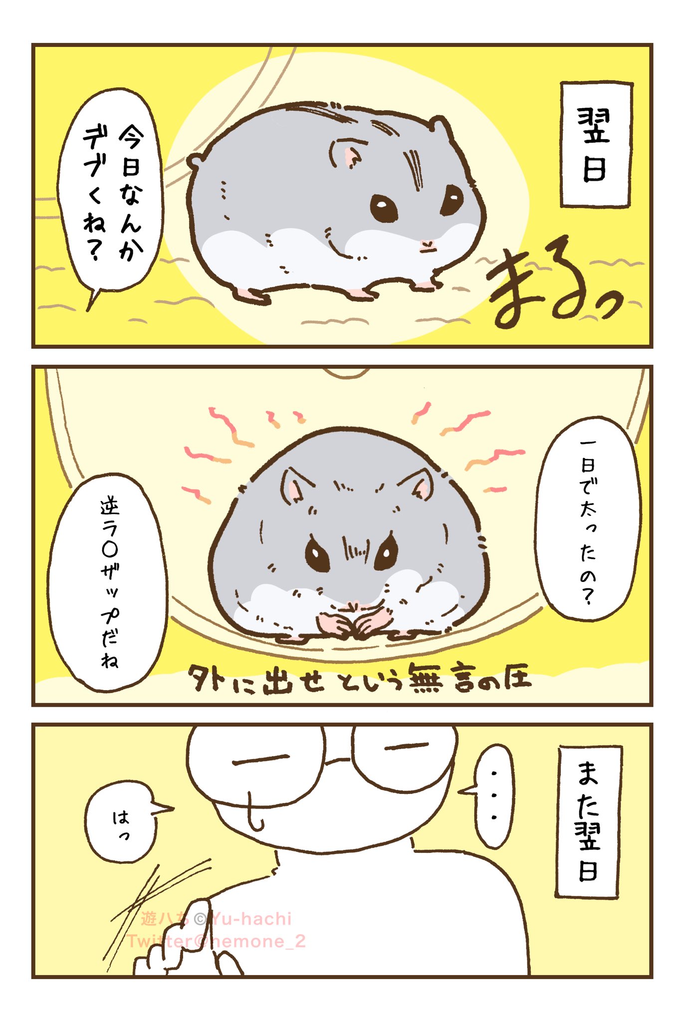 【中古】 ハムスター飼育日記 ８/あおば出版/アンソロジー 中古】 ハムスター飼育日記 8/あおば出版/アンソロジー 女性漫画