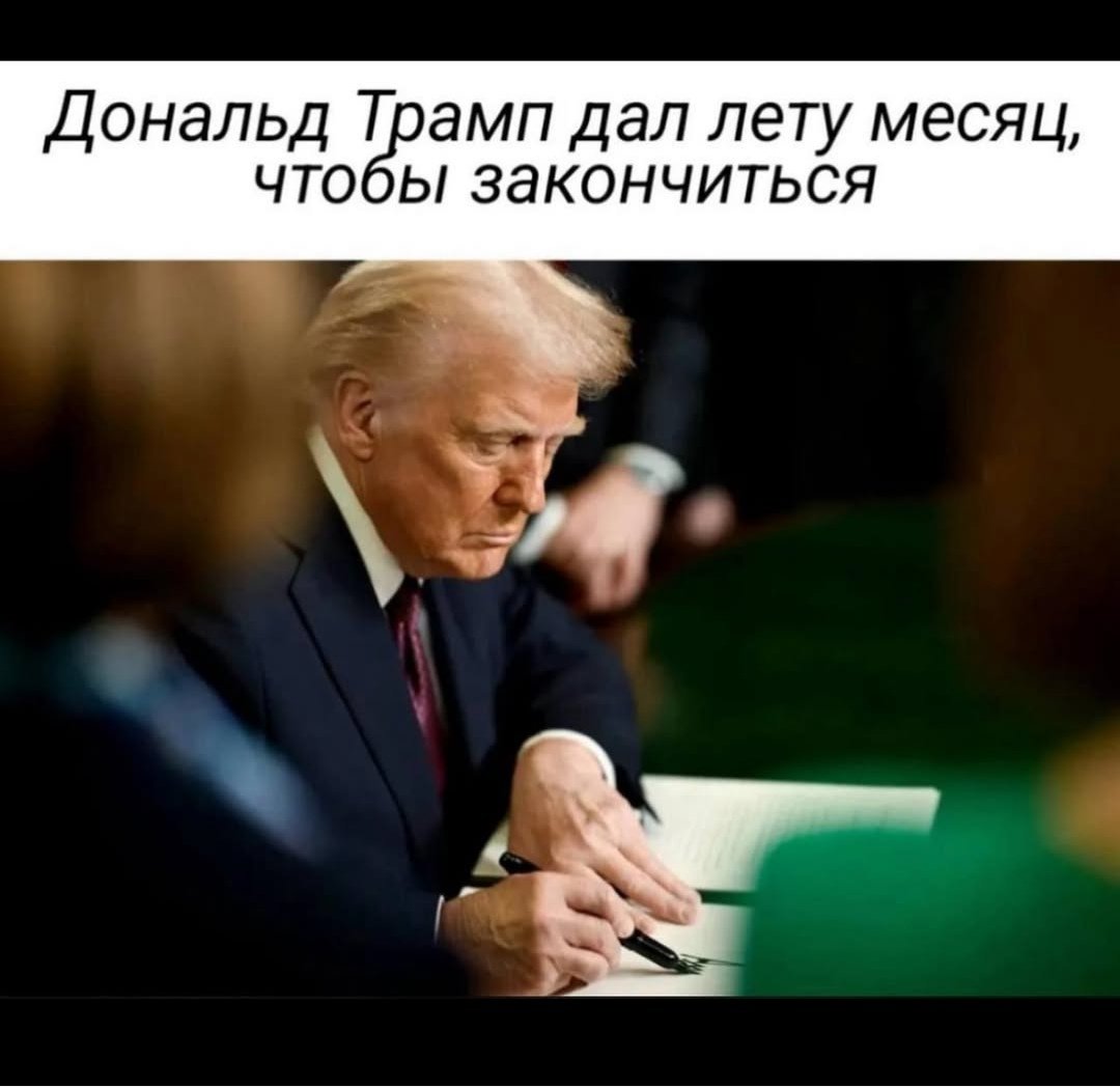Болт (@areal_bolt) on Twitter photo 