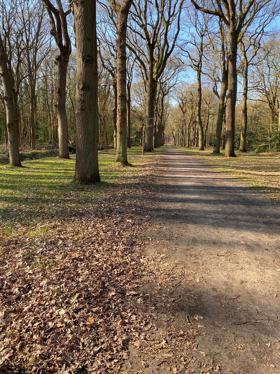 Vandaag op #dag6 van de #beau_gustus fotochallenge richten we ons op een #verdwijnpunt