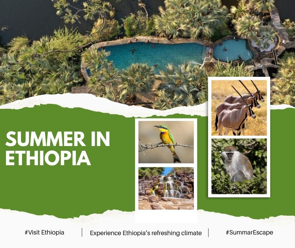 ETConsulateDXB's tweet image. Awash National Park : #Ethiopia’s Wild Heartbeat 

Looking to escape the Gulf’s summer heat for something wild, warm, and wonderfully refreshing?

Discover #Awash National Park, just 215 km from Addis Ababa, a haven where Rift Valley landscapes meet ancient volcanic beauty and