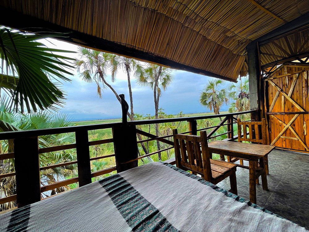 ETConsulateDXB's tweet image. Awash National Park : #Ethiopia’s Wild Heartbeat 

Looking to escape the Gulf’s summer heat for something wild, warm, and wonderfully refreshing?

Discover #Awash National Park, just 215 km from Addis Ababa, a haven where Rift Valley landscapes meet ancient volcanic beauty and