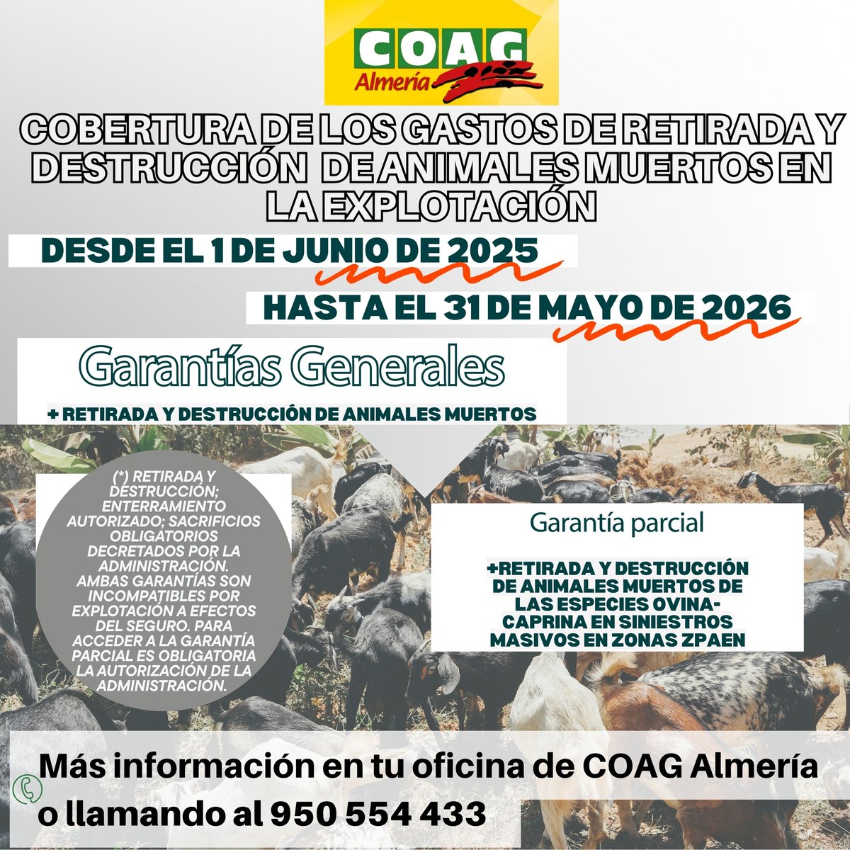 COAG Almería (@coagalmeria) on Twitter photo 