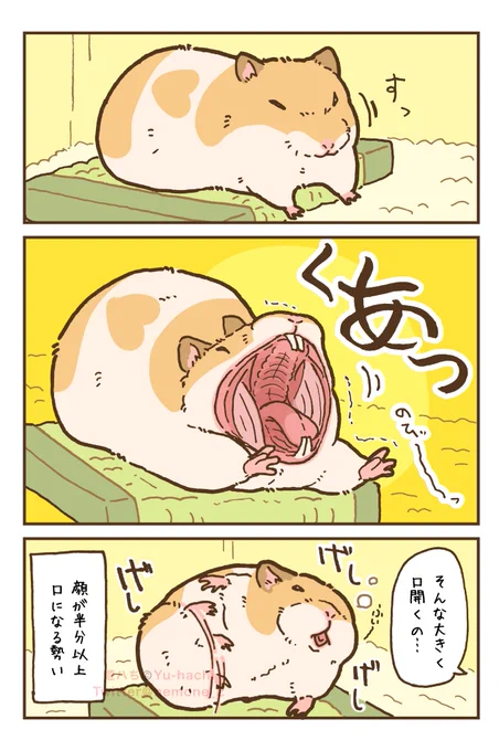 (3/3) 