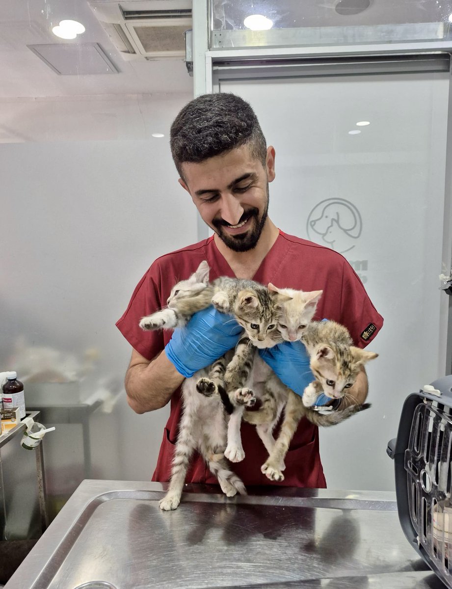 Üsküdar Belediyesi Minik Dostlar Kliniği (@uskminikdostlar) on Twitter photo 🐾 Minik dostlarımızın sağlığı için büyük bir sevgiyle çalışıyoruz!
Bugün kliniğimiz biraz kalabalıktı ama sevgi doluydu 💕
Her bir pati, bizim için kıymetli bir can demek.
Onların mutluluğu, bizim en büyük motivasyonumuz.
<a href="/uskudarbld/">Üsküdar Belediyesi</a> <a href="/sdedetas/">Sinem Dedetaş</a> 🐾 Minik dostlarımızın sağlığı için büyük bir sevgiyle çalışıyoruz!
Bugün kliniğimiz biraz kalabalıktı ama sevgi doluydu 💕
Her bir pati, bizim için kıymetli bir can demek.
Onların mutluluğu, bizim en büyük motivasyonumuz.
<a href="/uskudarbld/">Üsküdar Belediyesi</a> <a href="/sdedetas/">Sinem Dedetaş</a>