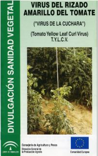 Folleto divulgativo sobre el virus de la cuchara del tomate (TYLCV) elaborado por la Consejería de Agricultura de la Junta de Andalucía lajunta.es/5t296 #RAIF #sanidadvegetal