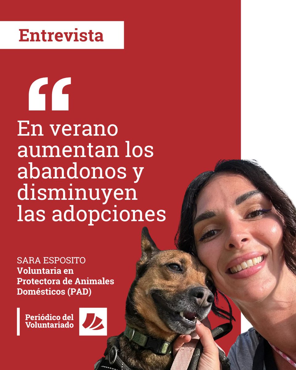 🎙️ Traemos de vuelta esta entrevista con Sara Esposito, voluntaria en Protectora de Animales Domésticos (PAD) de Mijas Costa, una asociación sin ánimo de lucro que acoge tanto a perros como a gatos para cuidarlos y buscarles un hogar.

📲 elperiodicodelvoluntariado.com/en-verano-aume…