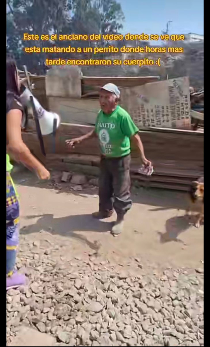 kwimez's tweet photo. #RevengedLove @Camila Rodriguez Perez en tiktok Está dando a conocer un terrible suceso que ocurrió en Chosica, Perú.
Un anciano de 91 años utiliza perros callejeros para darle de comer a sus cerdos
El 6 de agosto al costado de la municipalidad de chosica, a las 10 am se reuniran https://t.co/JkeAbyWulh
