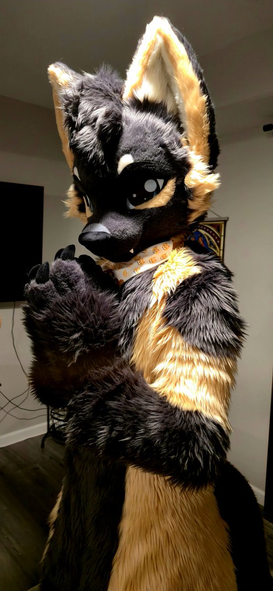 SeafaringSable's tweet image. He scheme! 😈

📷: @SkouseyOtter