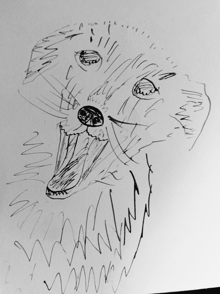 Zaden Zane (@zadenzane) on Twitter photo <a href="/SBewes/">sue bewes</a> <a href="/BumTetley/">Leo _RIP TetleyBum 🌈🌈😊😊🐶🐶</a> Thank you I have barely done any art for months, I only really enjoyed it when I could dip the brush in ink and sketch with no pencil marks, that's how I prefer to draw my Tetleys.
This one was supposed to be a #tongueoutTuesday Leo
x.com/BumTetley/stat… <a href="/SBewes/">sue bewes</a> <a href="/BumTetley/">Leo _RIP TetleyBum 🌈🌈😊😊🐶🐶</a> Thank you I have barely done any art for months, I only really enjoyed it when I could dip the brush in ink and sketch with no pencil marks, that's how I prefer to draw my Tetleys.
This one was supposed to be a #tongueoutTuesday Leo
x.com/BumTetley/stat…