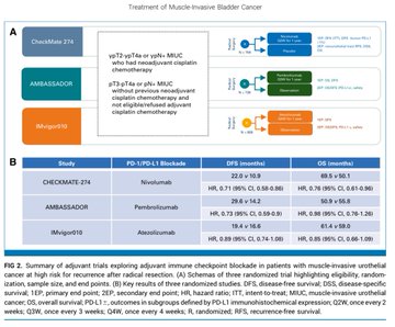 Enrique Grande (@drenriquegrande) on Twitter photo ⚡️ <a href="/JCO_ASCO/">Journal of Clinical Oncology</a> - The management of Muscle Invasive Bladder Cancer is entering a new era. Integration of immune checkpoint inhibitors, ctDNA for MRD detection, and ADC combinations promise risk-adapted strategies & better outcomes.
A true watershed moment.
#BladderCancer ⚡️ <a href="/JCO_ASCO/">Journal of Clinical Oncology</a> - The management of Muscle Invasive Bladder Cancer is entering a new era. Integration of immune checkpoint inhibitors, ctDNA for MRD detection, and ADC combinations promise risk-adapted strategies & better outcomes.
A true watershed moment.
#BladderCancer