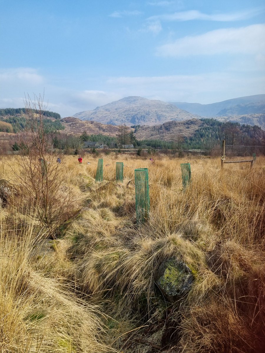 Restoring Hardknott Forest (@hardknottforest) on Twitter photo All our volunteering dates and other events (including a Halloween bat walk 🦇 & tree planting days 🌳) are listed on our website (link below). Dates for our partner project at Miterdale are also listed. <a href="/NECumbria/">Natural England Cumbria</a> <a href="/ShowcaseCumbria/">Showcase Cumbria</a> <a href="/UniversityLeeds/">University of Leeds</a>
bag.leeds.ac.uk/projects/resto… All our volunteering dates and other events (including a Halloween bat walk 🦇 & tree planting days 🌳) are listed on our website (link below). Dates for our partner project at Miterdale are also listed. <a href="/NECumbria/">Natural England Cumbria</a> <a href="/ShowcaseCumbria/">Showcase Cumbria</a> <a href="/UniversityLeeds/">University of Leeds</a>
bag.leeds.ac.uk/projects/resto…