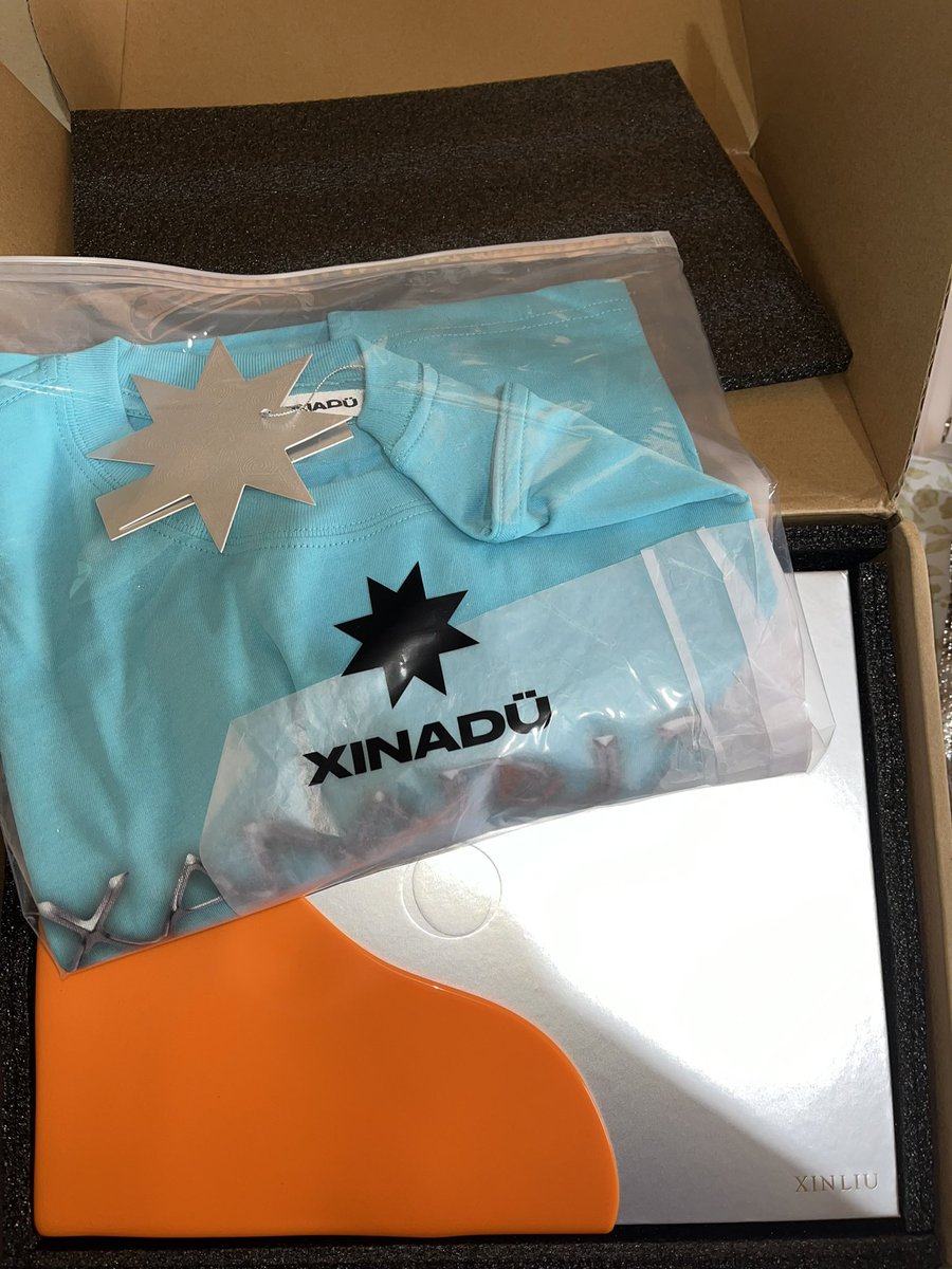 My babies are here! I’m so excited for my other Yuxin merches (specially the concert merches!) Thank you so much again for the great service <a href="/keikos_cart/">Jyl || peso to rmb 🇨🇳</a> 🩵🫶

#XINLiu #LiuYuxin