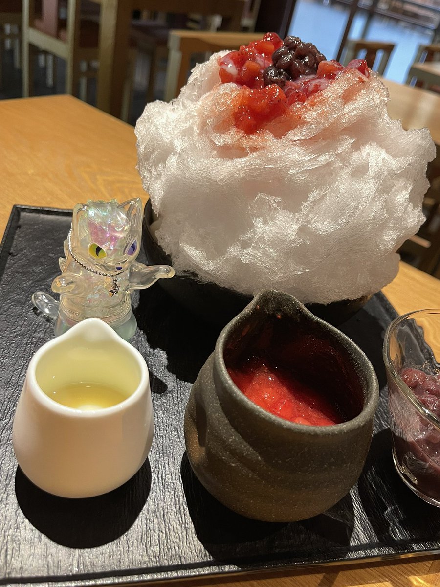 暑いのでネコと一緒にカキ氷🍧

#ネゴラ