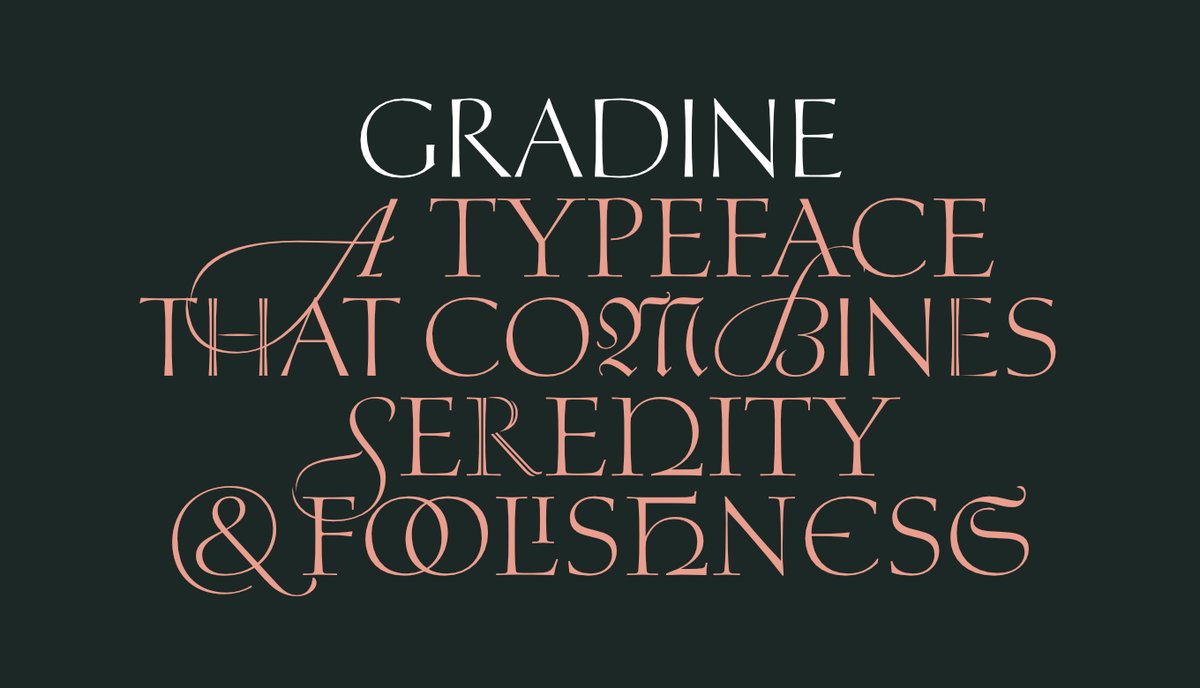 DSType Foundry tweet media