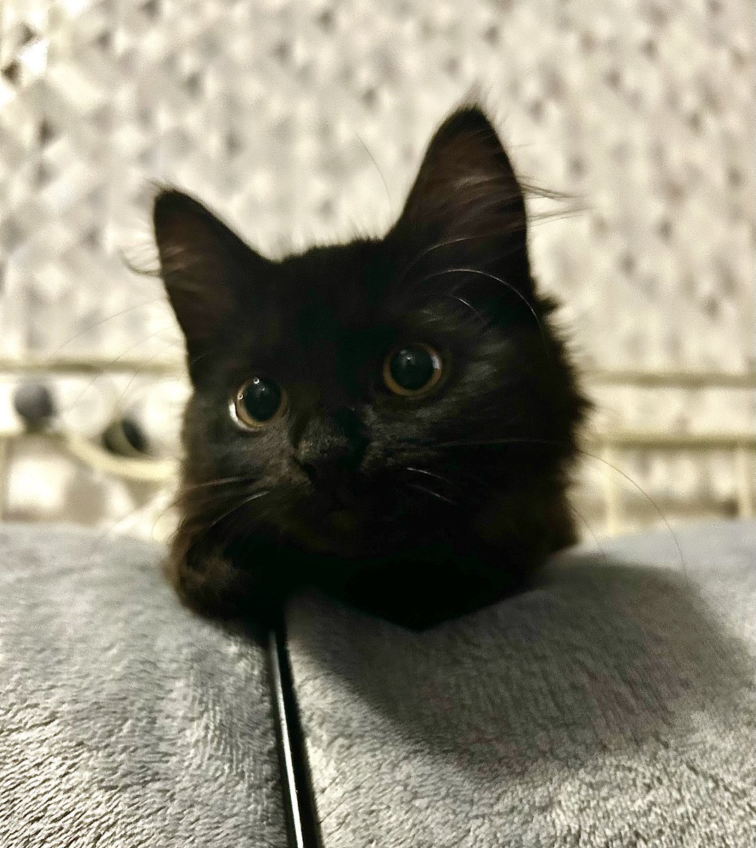 Ферстаппен бажає вам гарного ранку ✨