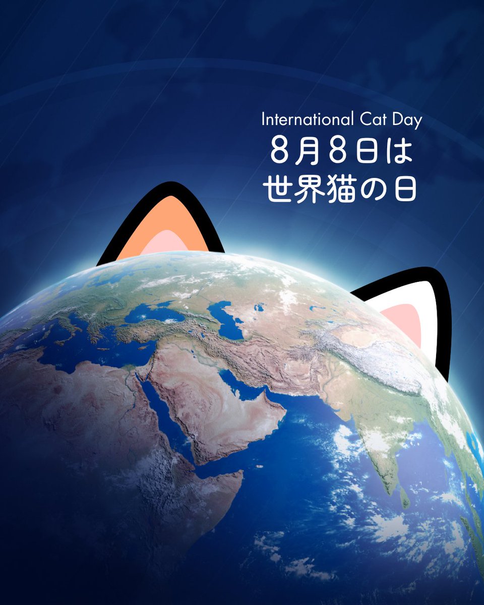 mapple_nyapple_'s tweet photo. 8月8日は #世界猫の日🌏 https://t.co/LEDRxBhrBi