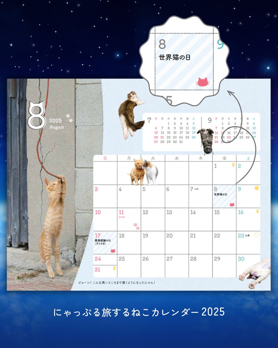 にゃっぷる編集部 (@mapple_nyapple_) / Posts / X