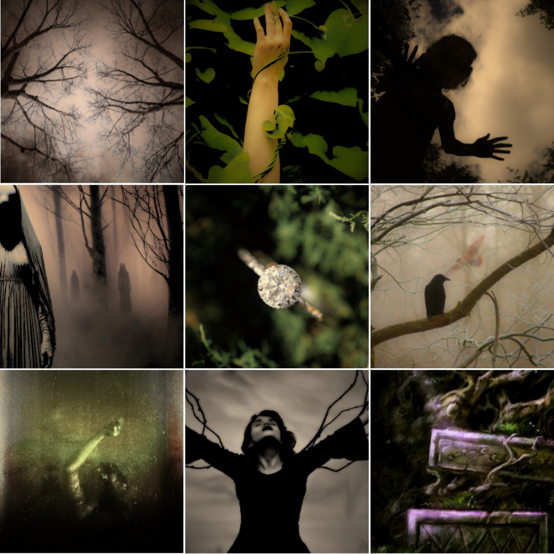 The forest demanded its due, but it got the wrong girl. 

A grieving Micaiah treks the forest, determined to find her estranged fae father for a way out of the family curse. Only to be accidentally engaged and bound to Lady Demian of the Autumn Court.

#questpit #W #YA #F