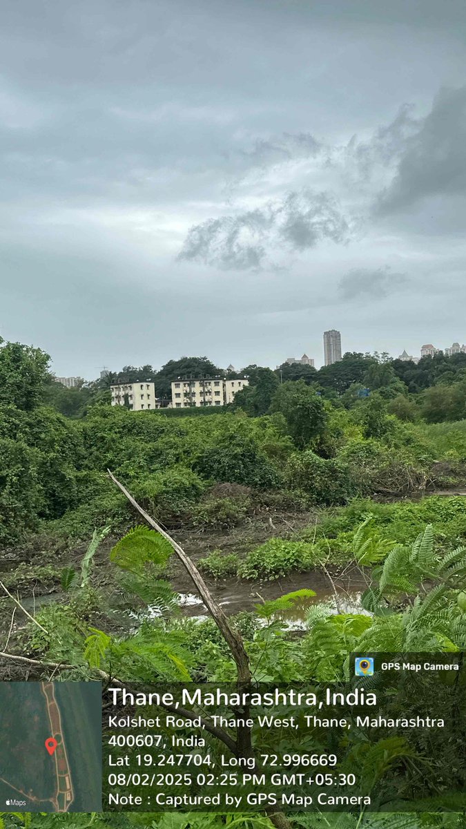 Swapnilbhoir24's tweet photo. कोलशेत–गायमुख (ठाणे) कोस्टल रोडच्या कामामुळे मोठ्या प्रमाणावर होणाऱ्या मंग्रोव्हजच्या नाशाविरोधात तात्काळ कारवाईबाबत विनंती#SaveMangroves #ThaneMangroveDestruction #EnvironmentalJustice #CoastalRoadImpact @TMCaTweetAway @moefcc 
@CMOMaharashtra @MPCBOfficial
@thanecitymc https://t.co/SpyTkqbjhF