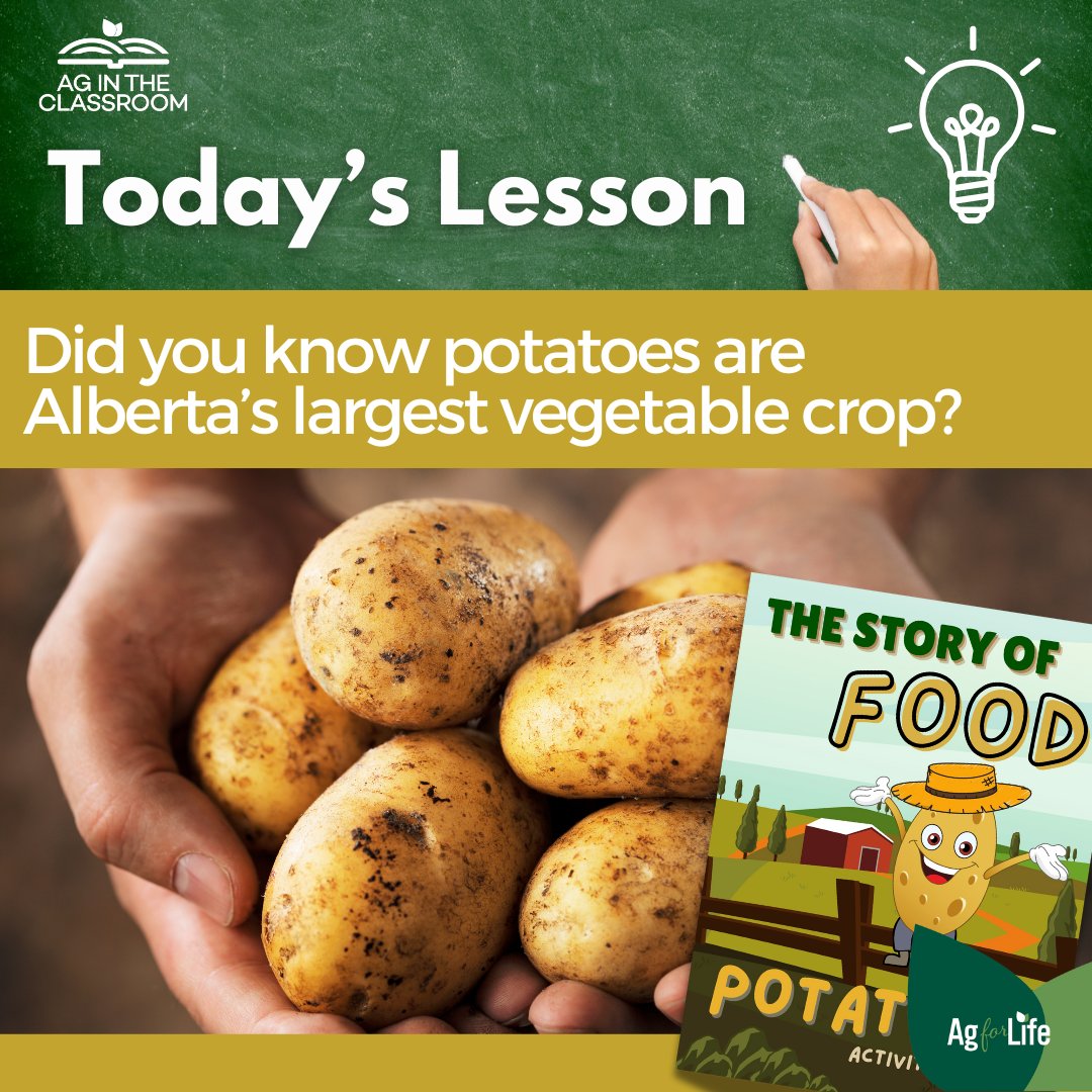 Today's Lesson 🌾
Did you know Alberta is Canada’s top potato producer? 🥔 In 2024, Alberta grew 30M cwt of potatoes—23.7% of the country’s total!
📚 Classroom Connection: Why are potatoes a superfood here?
🔍 Dig Deeper: agricultureforlife.ca/potato