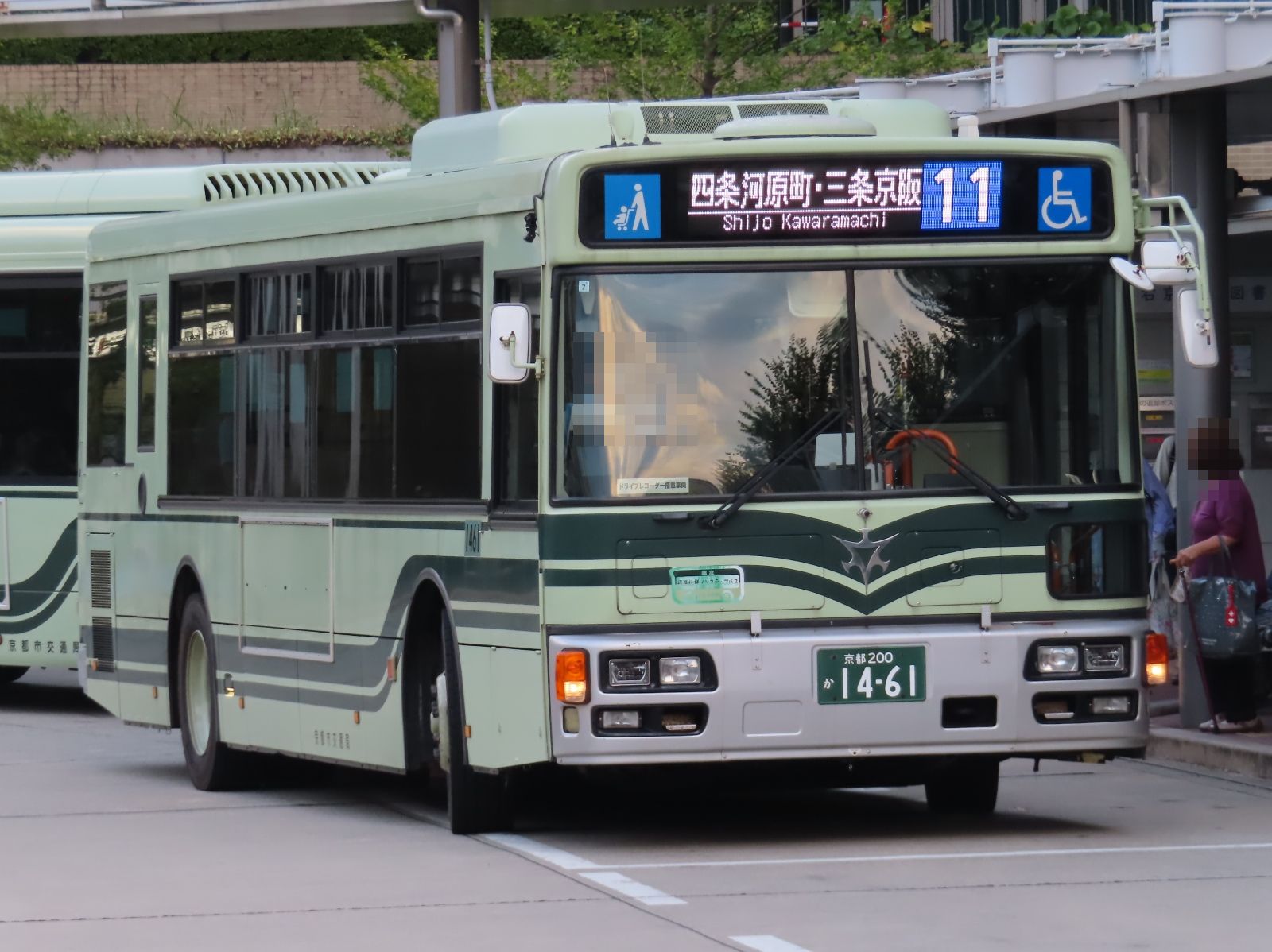 新政　【2025.01最新出荷】　紫八咫2016 unk69004_1.jpg