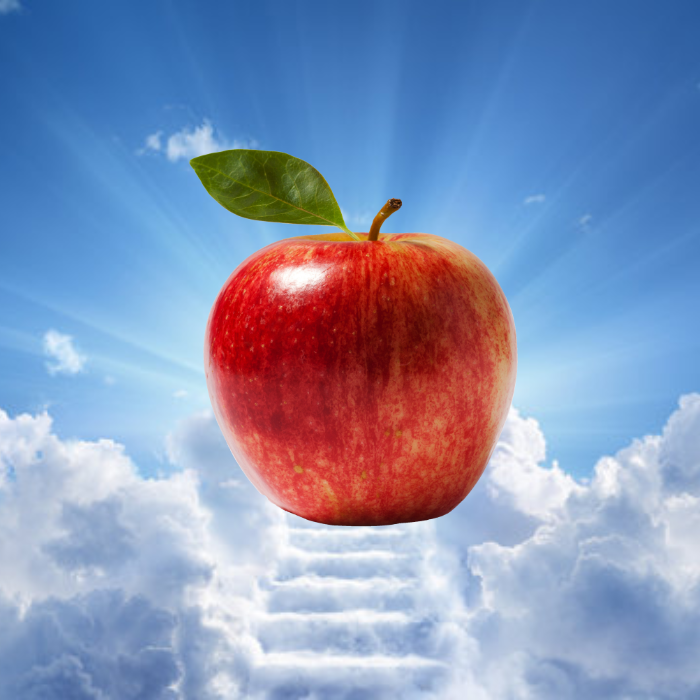 omega Ω tweet media