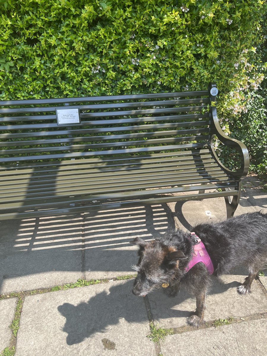 Visiting Ruby, telling her about Saturday xxx <a href="/KindlyLoudly/">Remembering Ruby</a>