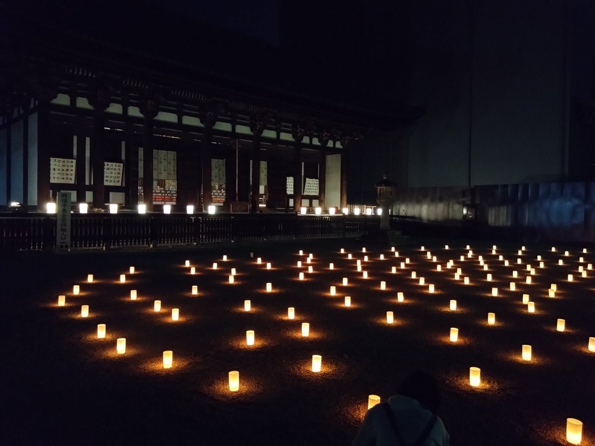 1973pinball's tweet photo. #燈花会　#興福寺 https://t.co/7A9qgGZguG