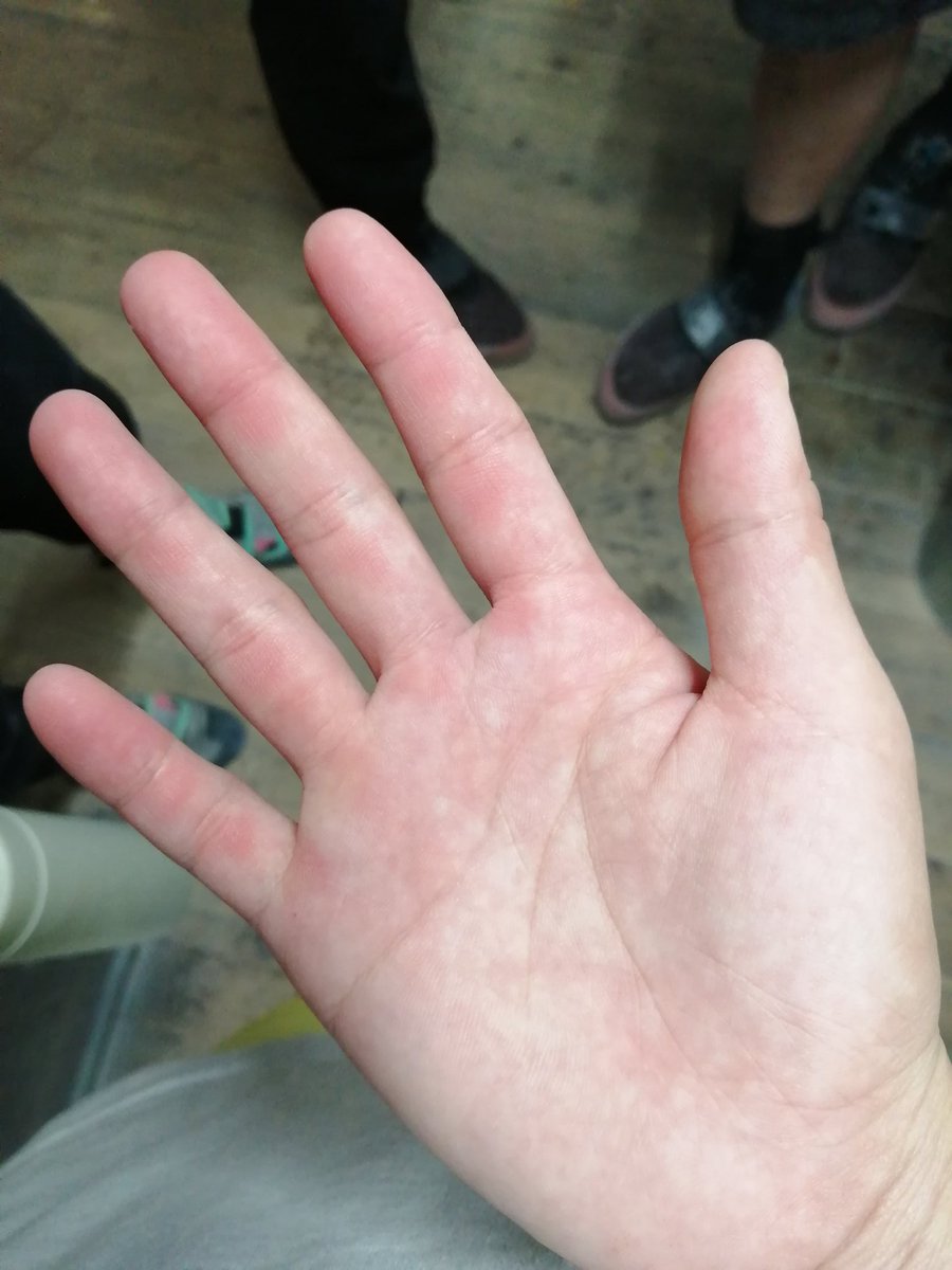 人生初ボルダリング。
念願のお猿さん。

クリア出来なかったあいつを見上げて帰るんだ…
綺麗な筋肉いっぱいだったなぁ(✽´ཫ`✽)
#ボルダリング #ビバ筋肉痛