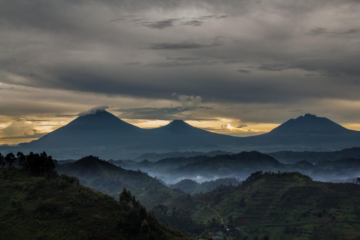 Discover the breathtaking beauty of Bwindi Impenetrable National Park! From mist-shrouded hills to stunning waterfalls, every view is a masterpiece. Visit bwindiforestnationalparkuganda.com/beautiful-scen…  #bwindiimpenetrablepark
#bwindinationalpark
#bwindipark