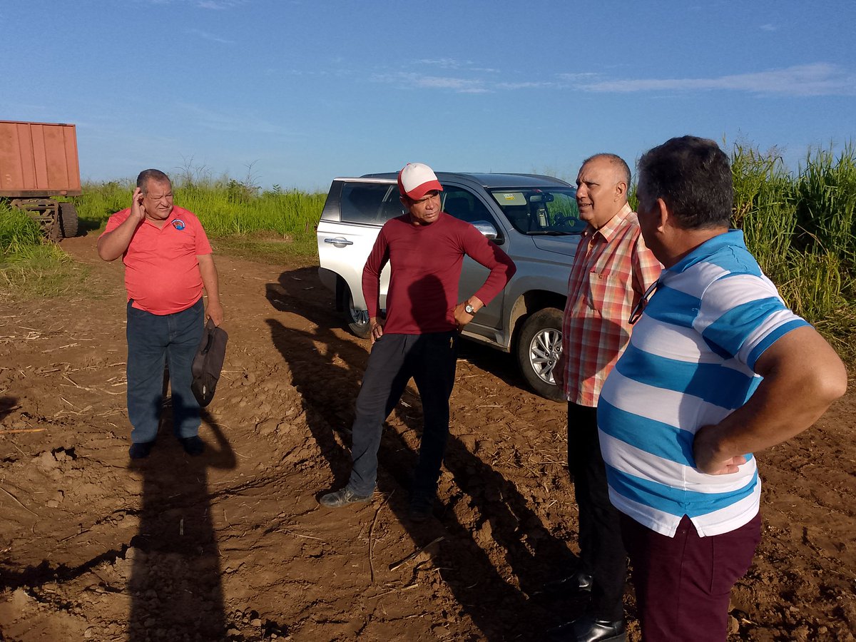 OsnielViceInt's tweet photo. Recorrido del Gobernador de la provincia #Artemisa por áreas cañeras para chequear el avance de este programa en el municipio #SanCristobal. #ArtemisaJuntosSomosMas. #SoberaniaAlimentaria. https://t.co/KH3Tprt3jD