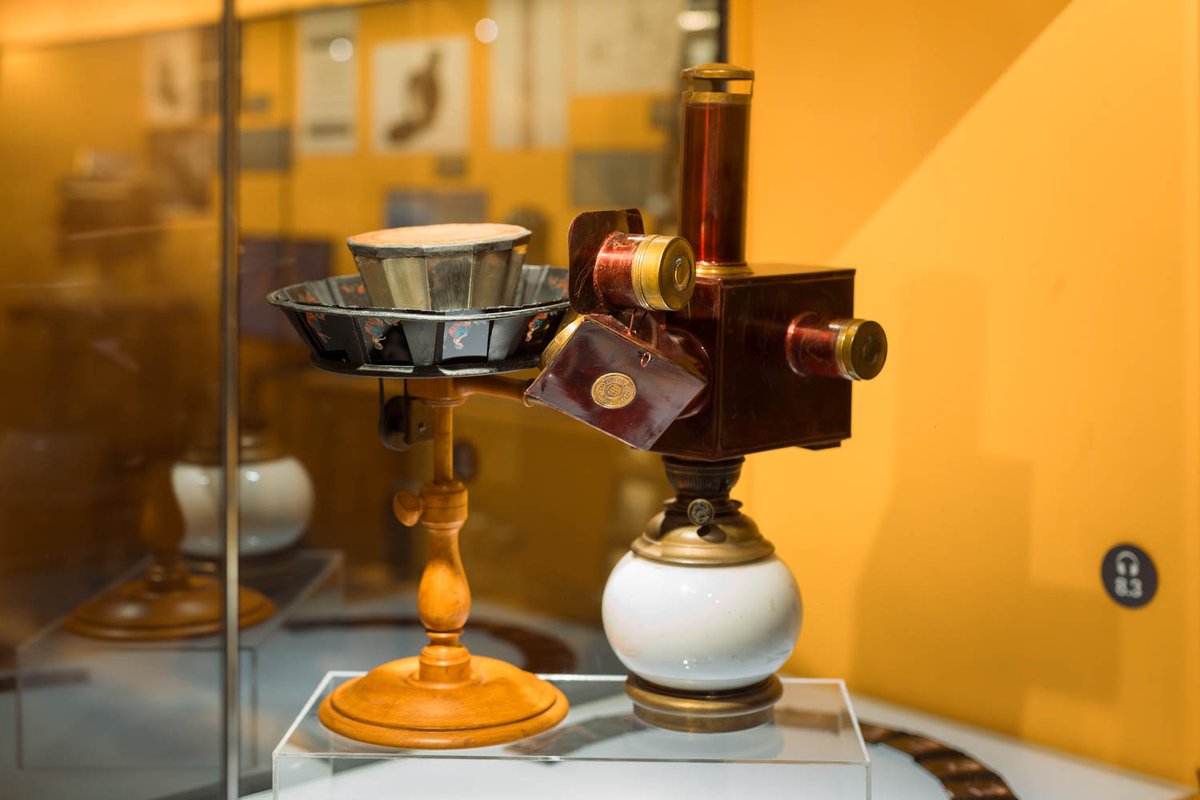 🎥 #Praxinoscopi de projecció 
Inventat per #ÉmileReynaud, permetia projectar animacions sobre un decorat amb una #LlanternaMàgica adaptada.
Moviment cíclic, miralls, vidre i màgia! ✨
Peça rara i de luxe 🎩
📍 <a href="/museucinema/">Museu del Cinema</a>