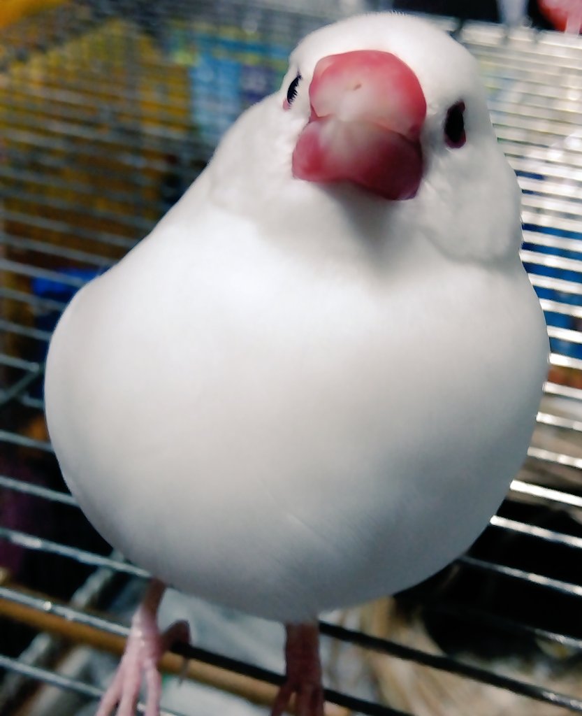 直太朗くんがやってくる！！！
の、ポーズ😰