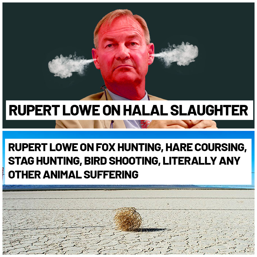 People like Rupert Lowe defend elite bloodsports. You think he’s on our side?