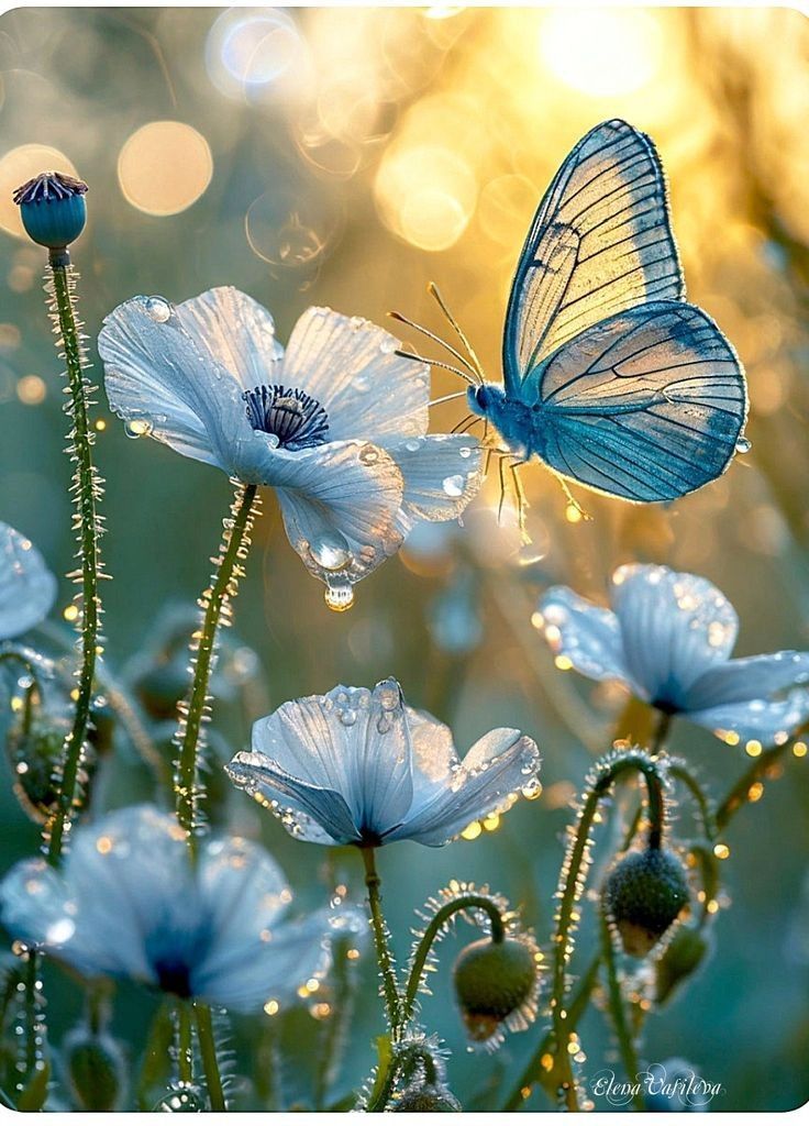 Janne (@janne0770) on Twitter photo 