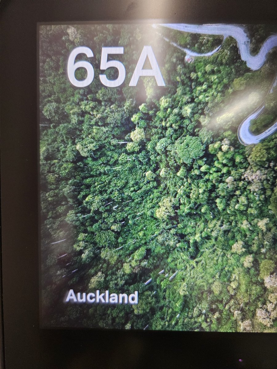 Can I open a cold foil mask of momentum please?👺